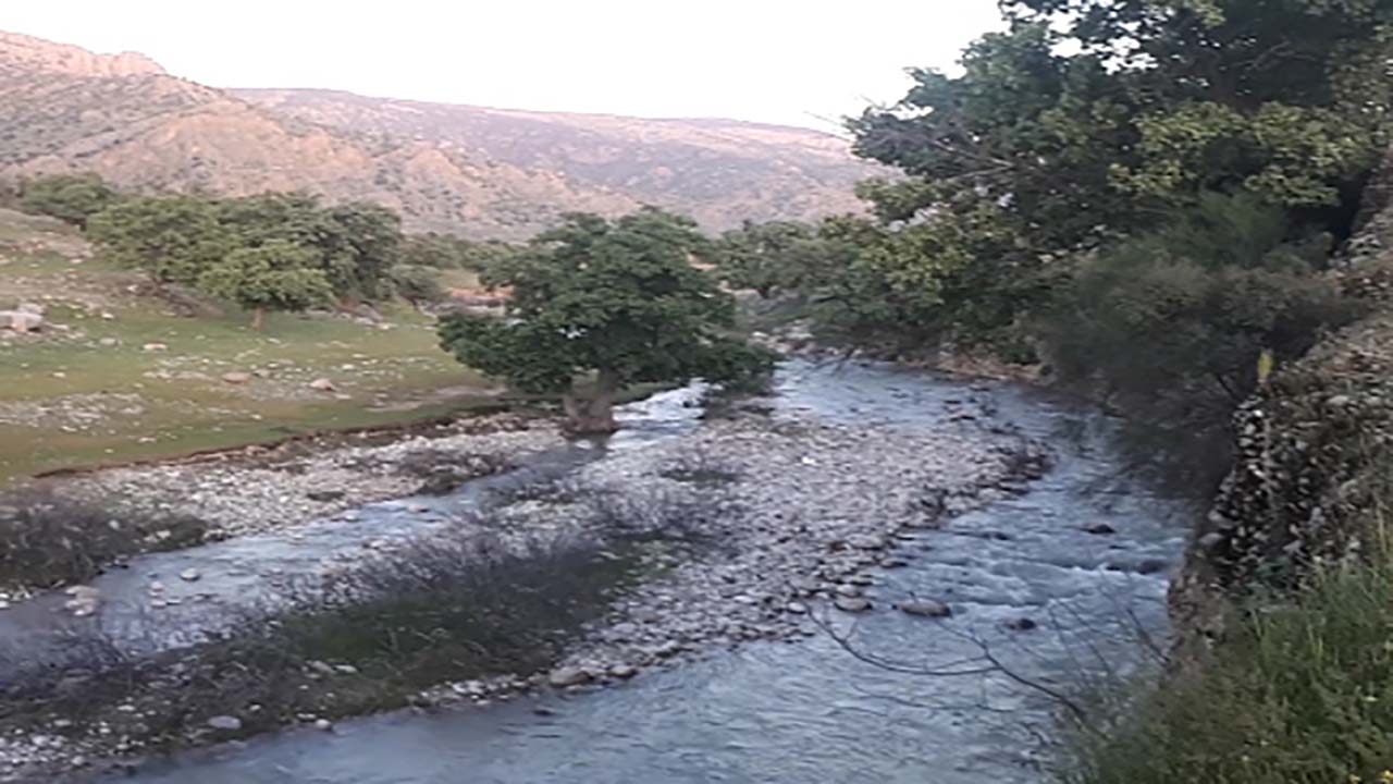 نمایی از طبیعت بهاری در نورآباد ممسنی + فیلم