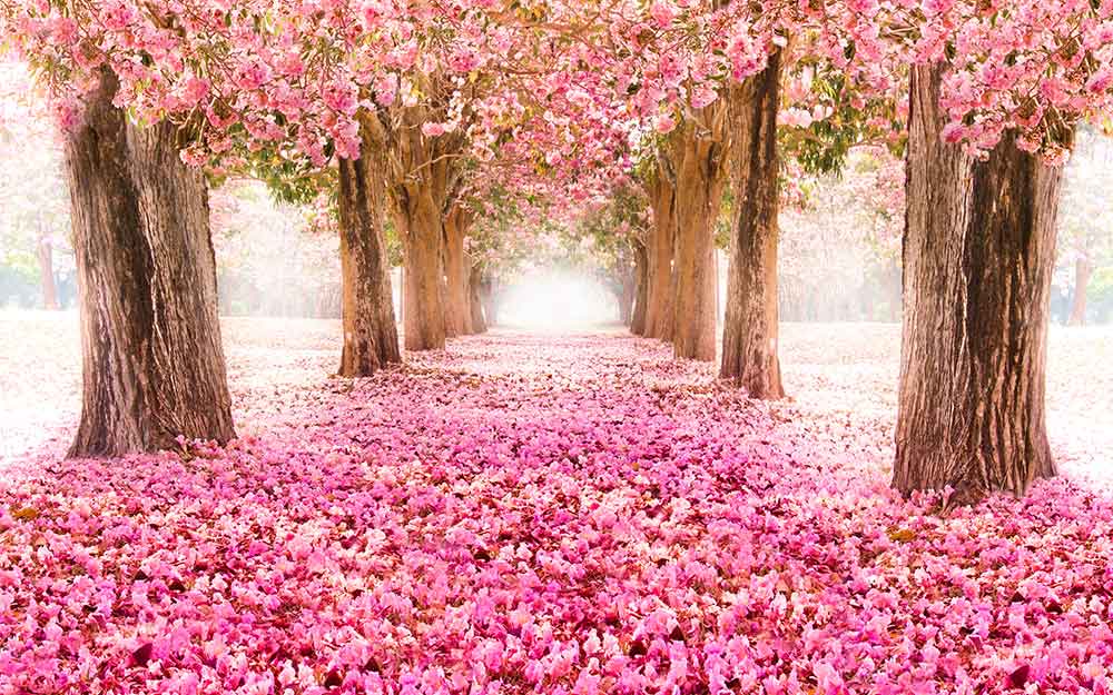 ضرب المثل&zwnj;هایی که حال و هوای بهاری دارند