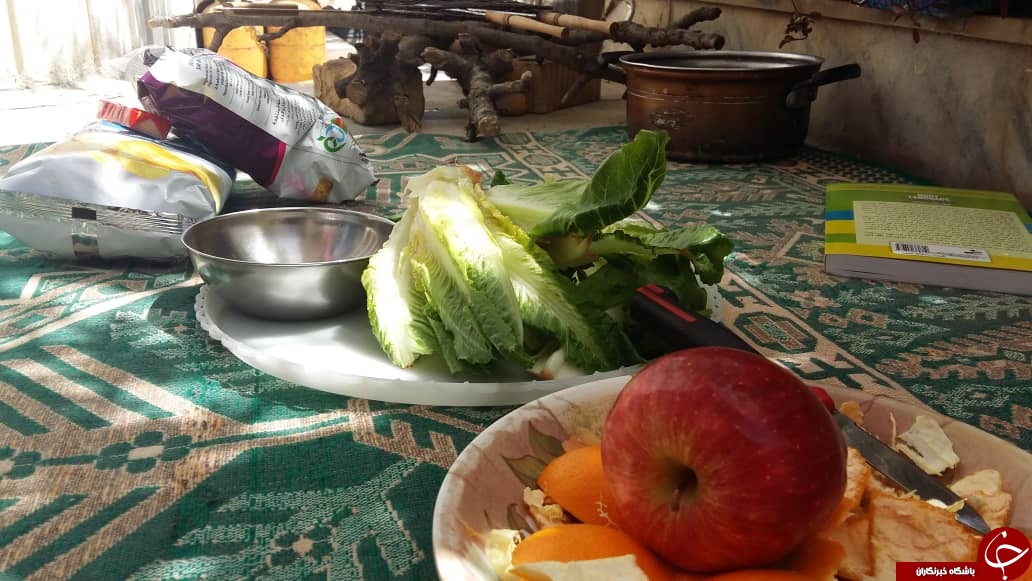 ابتکار جالب برخی شهروندان استان فارس در روز ۱۳ به در + تصاویر