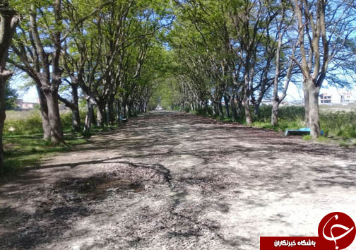 متفاوت&zwnj;ترین سیزده بدر مازندران + تصویر و فیلم