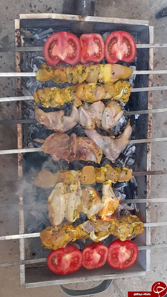 ابتکار جالب برخی شهروندان استان فارس در روز ۱۳ به در + تصاویر
