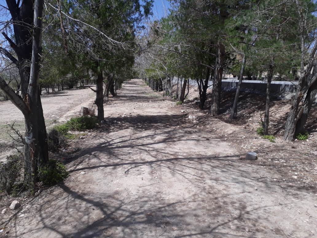 حرکت زیبای کرمانی ها در سیزده بدر