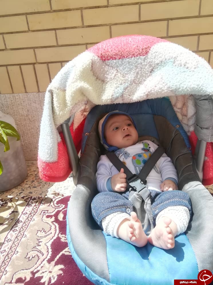 ابتکار جالب برخی شهروندان استان فارس در روز ۱۳ به در + تصاویر