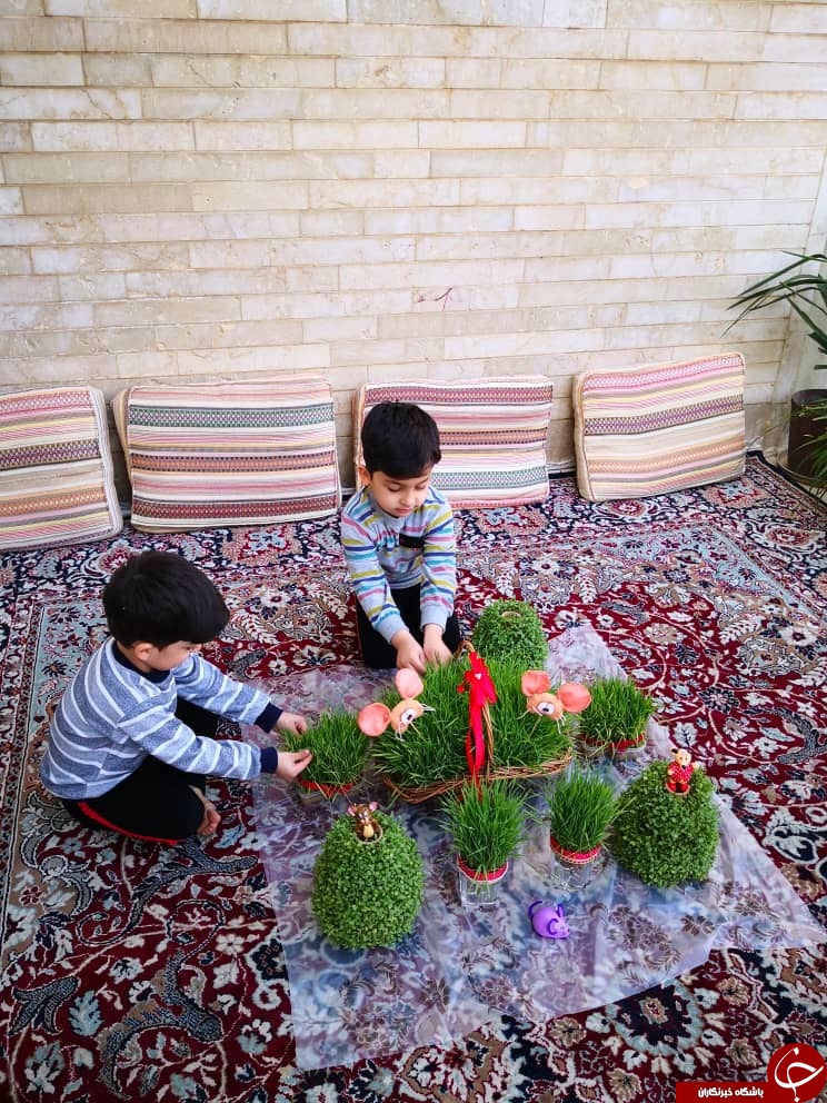 ابتکار جالب برخی شهروندان استان فارس در روز ۱۳ به در + تصاویر