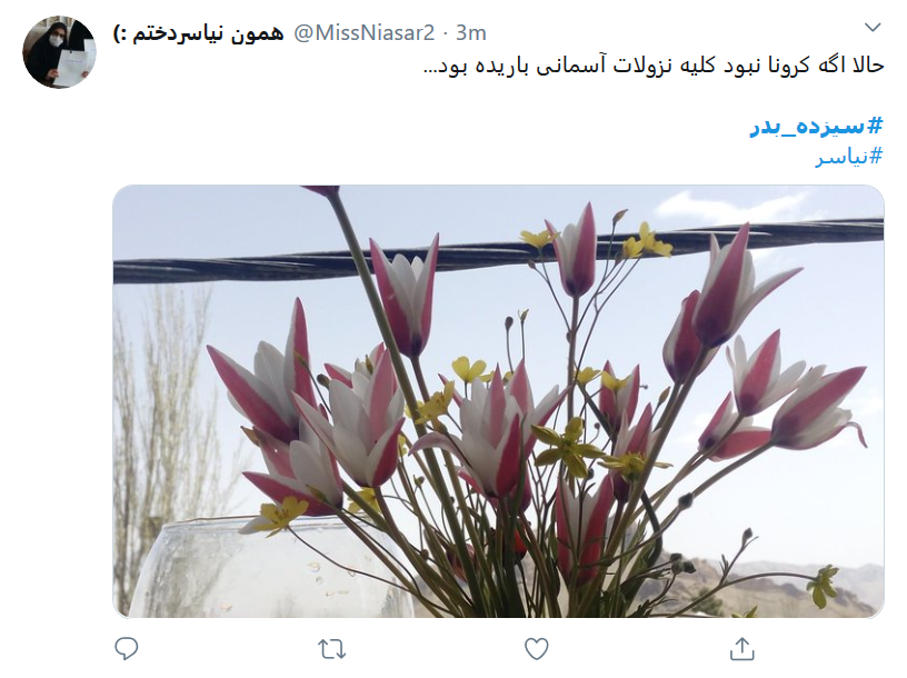 واکنش کاربران فضای مجازی در روز #سیزده_به&zwnj;در
