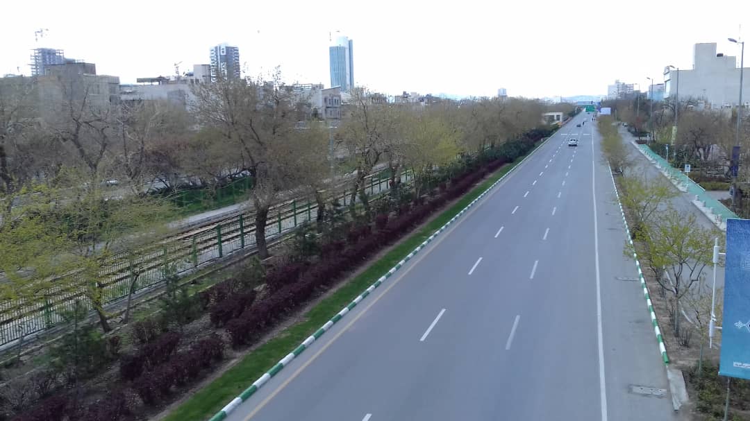 پرنده در خیابان های مشهد پر نمی زند/پشت بام خانه ها میزبان طبیعت شد