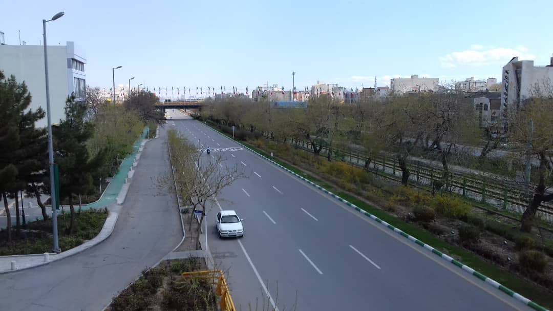 پرنده در خیابان های مشهد پر نمی زند/پشت بام خانه ها میزبان طبیعت شد
