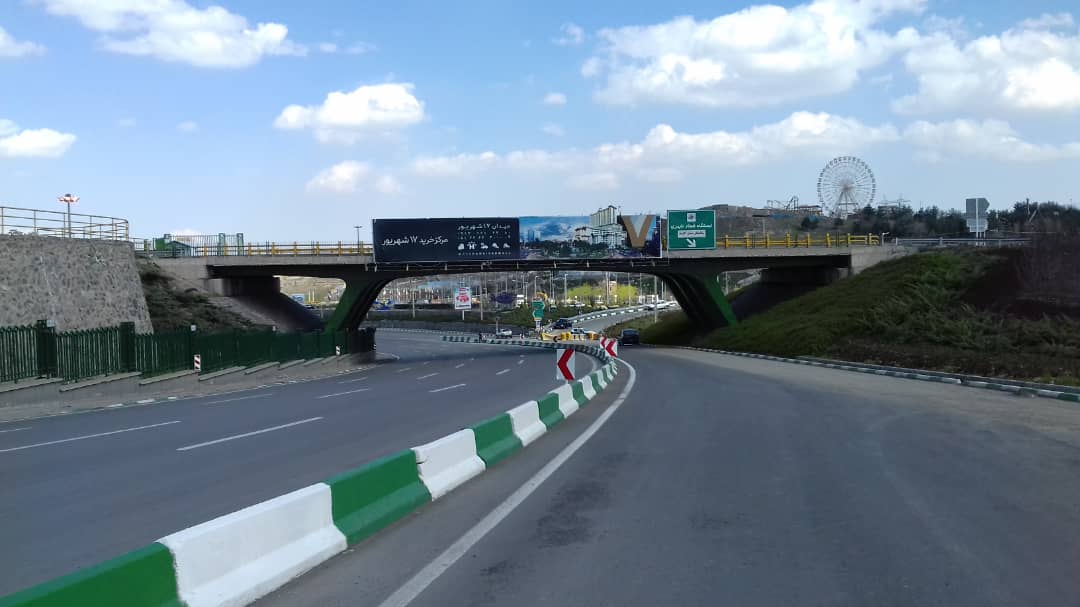 پرنده در خیابان های مشهد پر نمی زند/پشت بام خانه ها میزبان طبیعت شد
