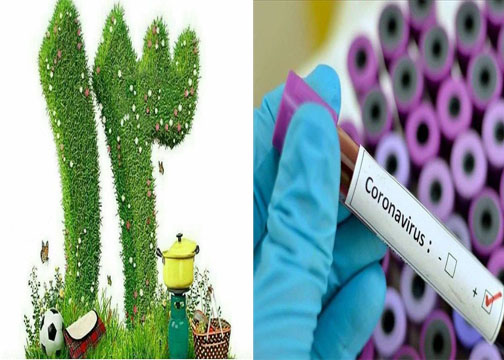 گره امید به سین سلامت جامعه در سیزده به در کرونایی