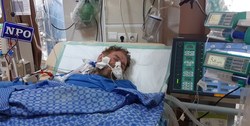 راوی کتاب &laquo;آب هرگز نمی&zwnj;میرد&raquo; آسمانی شد