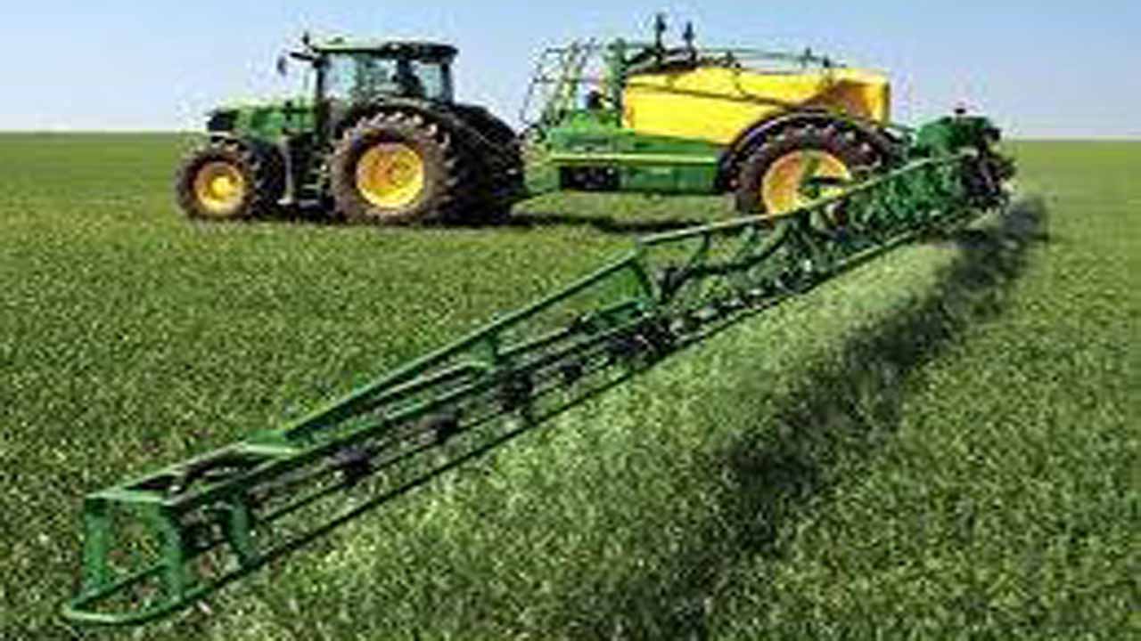مبارزه با علف‌های هرز در ۳۱ هزار هکتار از گندمزارهای مازندران
