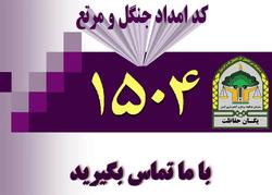 تخریب و تصرف در عرصه&zwnj;های ملی را به ۱۵۰۴ گزارش دهید