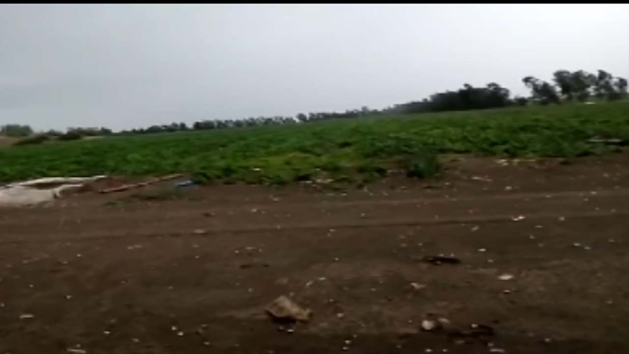 بارش تگرگ در «رودبار جنوب» + فیلم