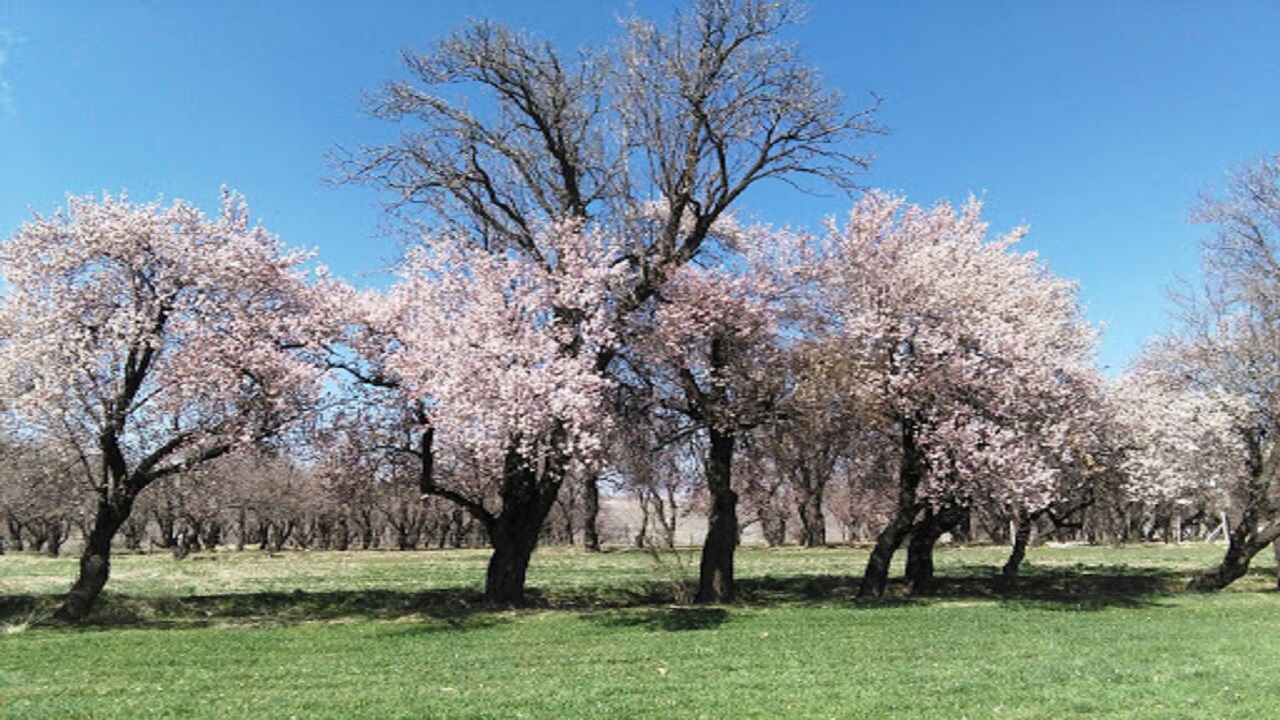 پیش بینی آسمانی صاف در چهارمحال و بختیاری
