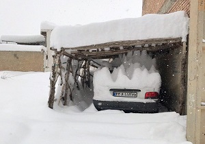 ننن