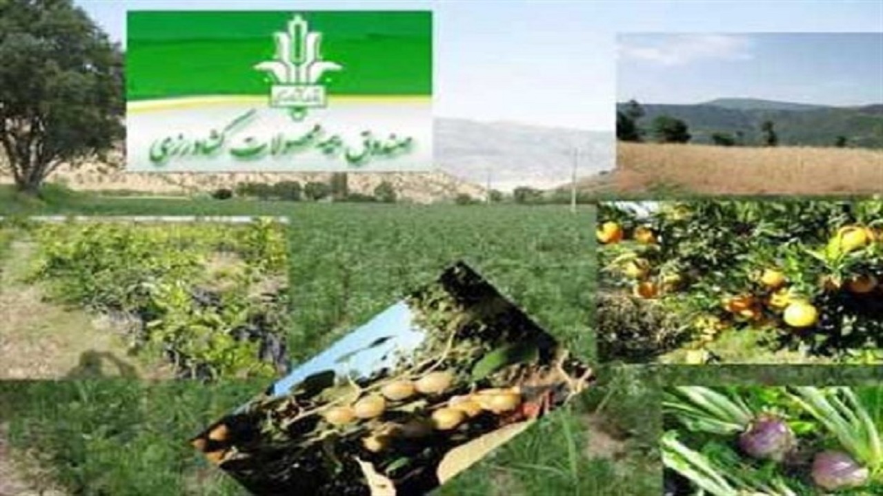 کشاورزان و دامداران محصولات خودرا بیمه کنند