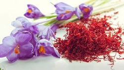 طلای سرخ و خواص درمانی آن
