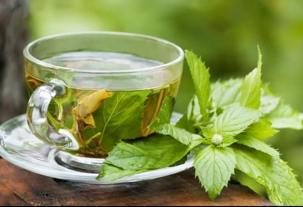 چند دمنوش بهاری برای رفع کسالت