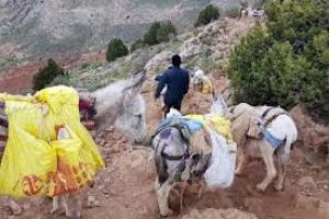 کشف بیش از ۲ تن سنگ سرب در اسفراین