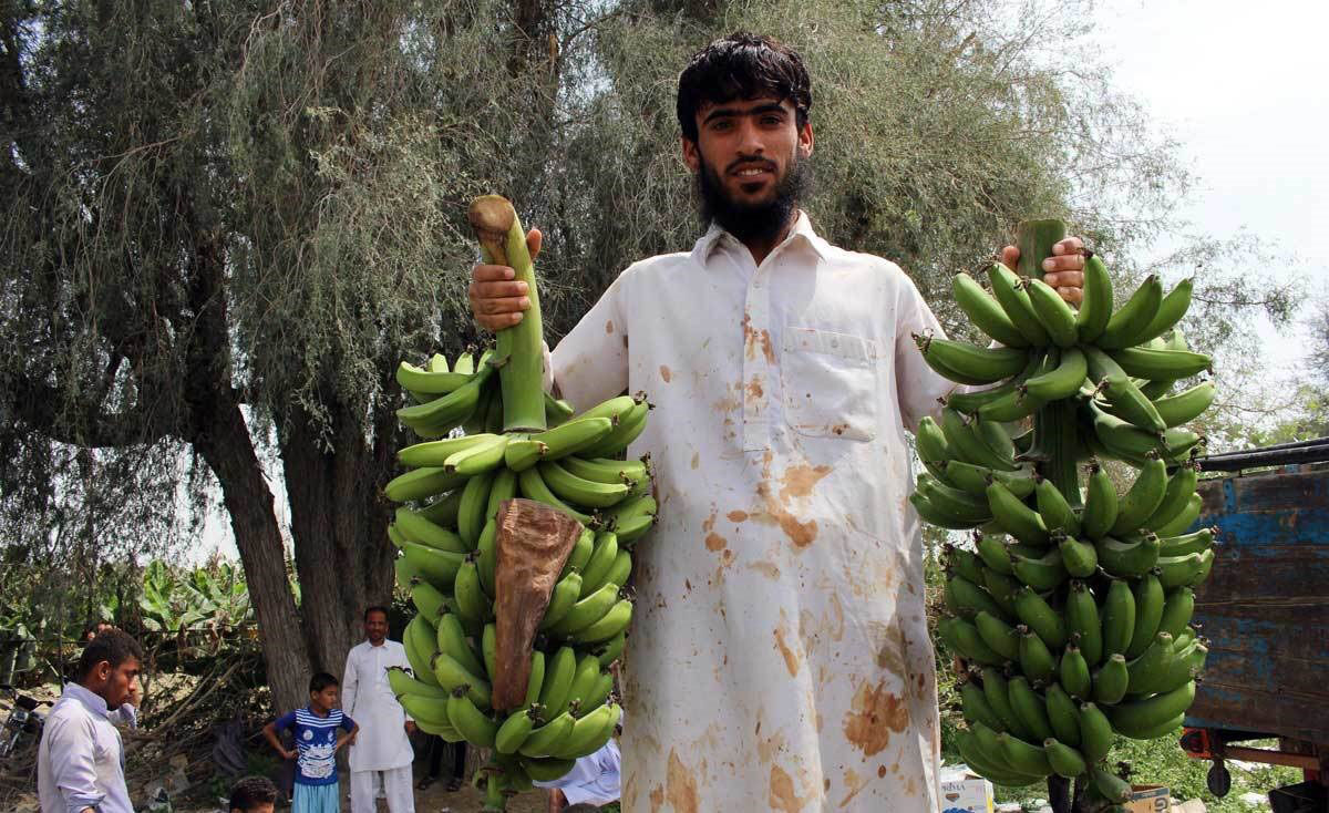گاندو، زیستگاه بیش از ۴۴۰ گونه جانوری و گیاهی
