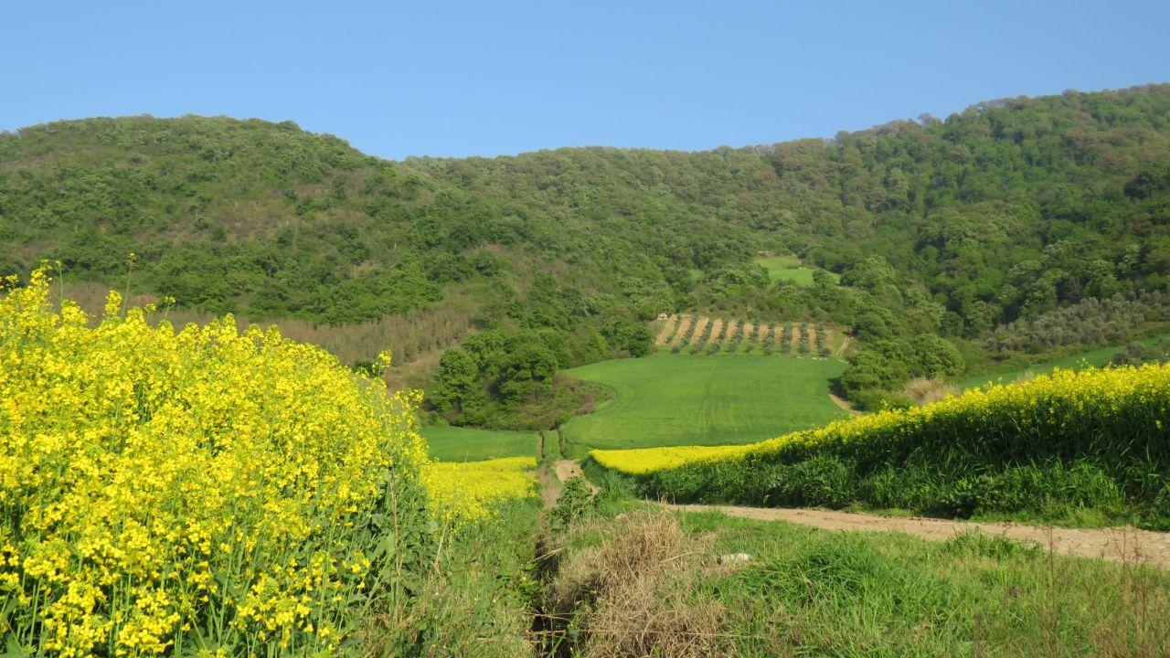 گوشه ای از طبیعت زیبا و سرسبز در روستای مرزبن + فیلم و تصاویر