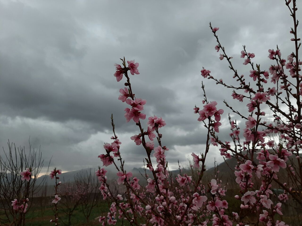 سدکارده ی مشهد به روایت تصویر