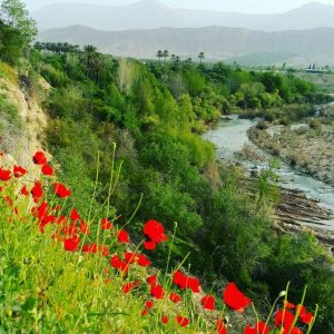ممنوعیت ایجاد باغ شهری در ۲ نقطه جهرم