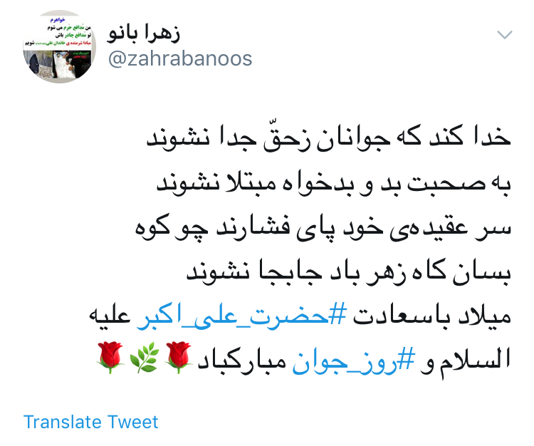 &rlm;و خدا خواست كه يك بار دگر در عالم، مصطفی آينه در آينه تكرار شود