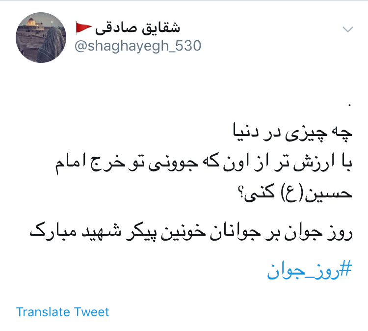 &rlm;و خدا خواست كه يك بار دگر در عالم، مصطفی آينه در آينه تكرار شود