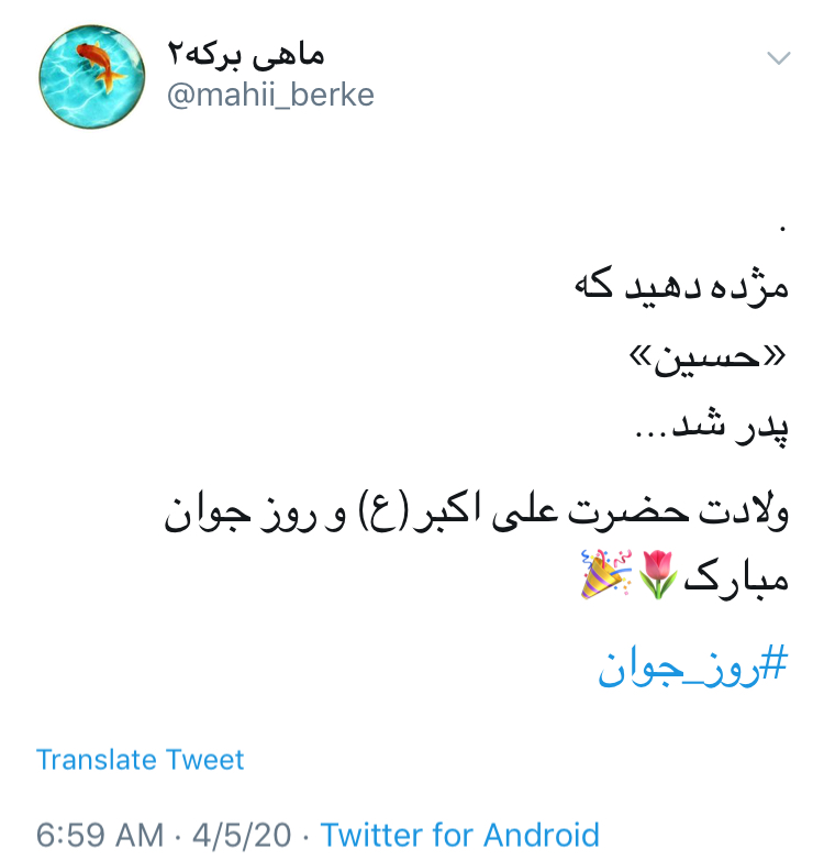 &rlm;و خدا خواست كه يك بار دگر در عالم، مصطفی آينه در آينه تكرار شود