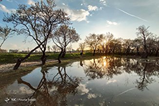 طبیعت زیبای بهاری در قزوین
