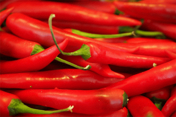 رفع تندی غذا؛ چگونه تندی انواع غذاها را بگیریم؟ رفع تندی غذا؛ چگونه تندی انواع غذاها را بگیریم؟