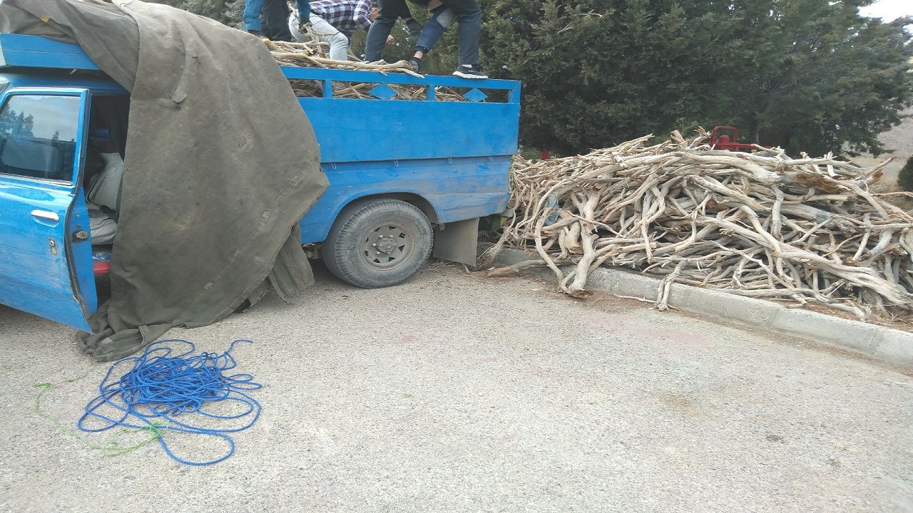 بیش از ۸ تن چوب تاغ قاچاق در دامغان کشف شد