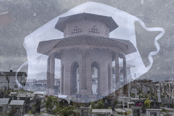 پانیذ در خانه