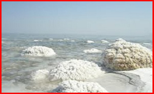 جذابترین ها
