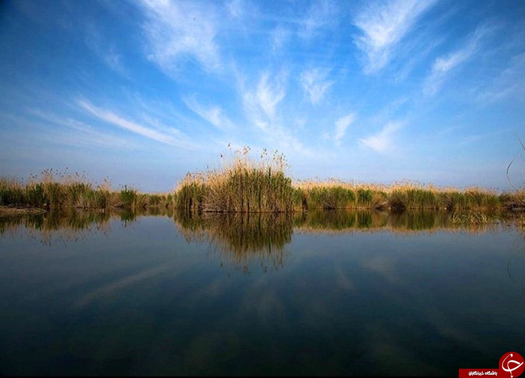 حال تالاب شادگان خوب می&zwnj;ماند اگر مسئولان همراهی کنند
