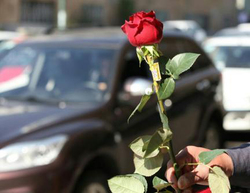 تجلیل از تلاش&zwnj;های جوانان در ایستگاه&zwnj;های پایش وسمپاشی یامچی