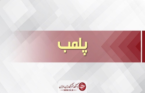 پلمپ ۱۹ واحد صنفی غیرمجاز عرضه مرغ گرم در قروه