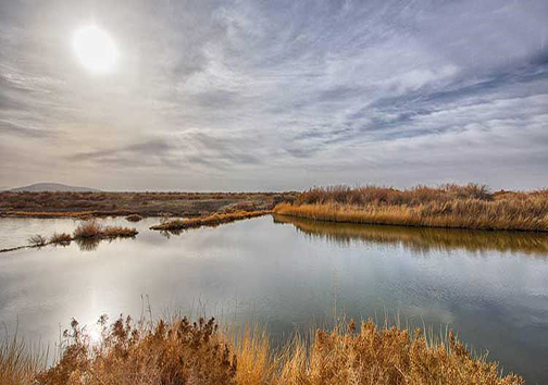 عوارض خودرو&zwnj;ها امسال چگونه محاسبه می&zwnj;شود؟/ چراغ &laquo;برات&raquo; را در خانه نیازمندان روشن کنیم/ آخرین اخبار از متواریان زندان سقز/ آغاز بازدید مجازی از باغ لاله ها