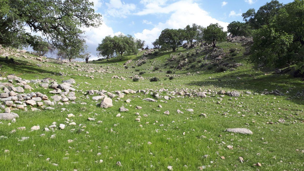 چشم‌اندازی از طبیعت دیدنی در روستای آب بیدبوان + فیلم و تصاویر