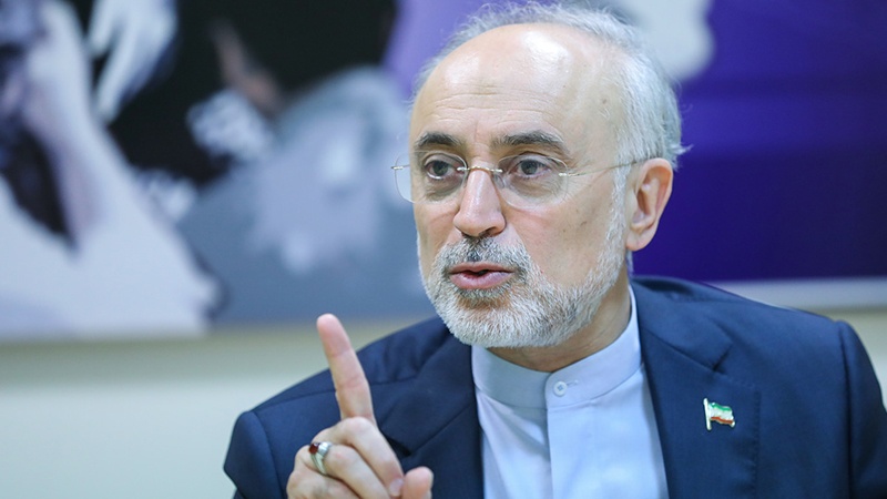 سازمان انرژی اتمی در یک‌سال گذشته ۱۲۲ دستاورد جدید داشته است/جشن روز ملی هسته‌ای در فرصت مقتضی
