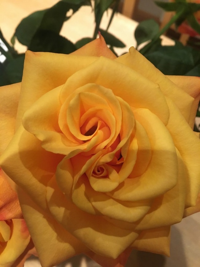 ۱۰ عکس که با ذهن شما بازی می&zwnj;کند