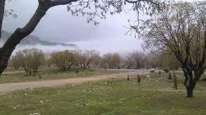 جمع آوری ۴۹ تخته چادر نوروزی در مناطق جنگلی سیروان