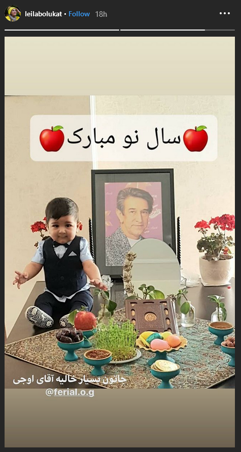 هفت سین متفاوت هستی مهدوی&zwnj;فر در منزل ؛