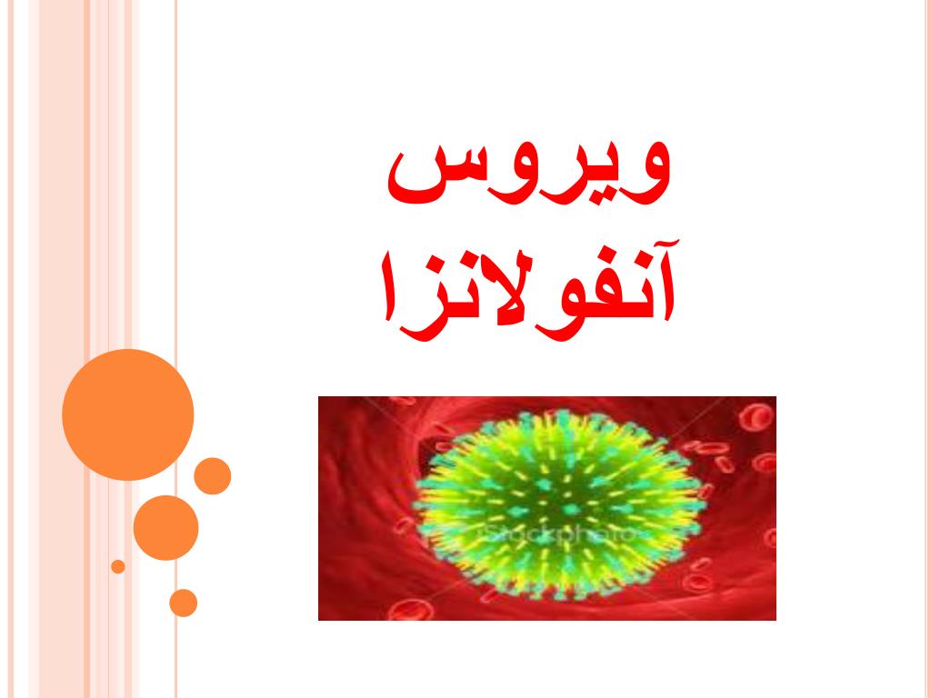 آخرین اخبار کرونا در استان مرکزی در دوم فروردین