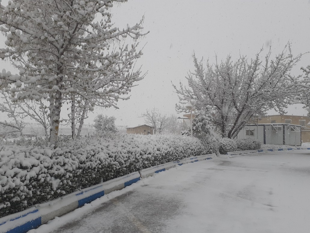 بهار زمستانی در خراسان شمالی