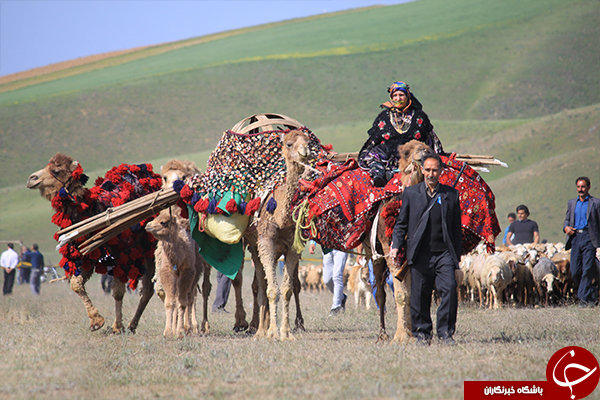 کوچ  عشایر خراسان شمالی به تعویق افتاد