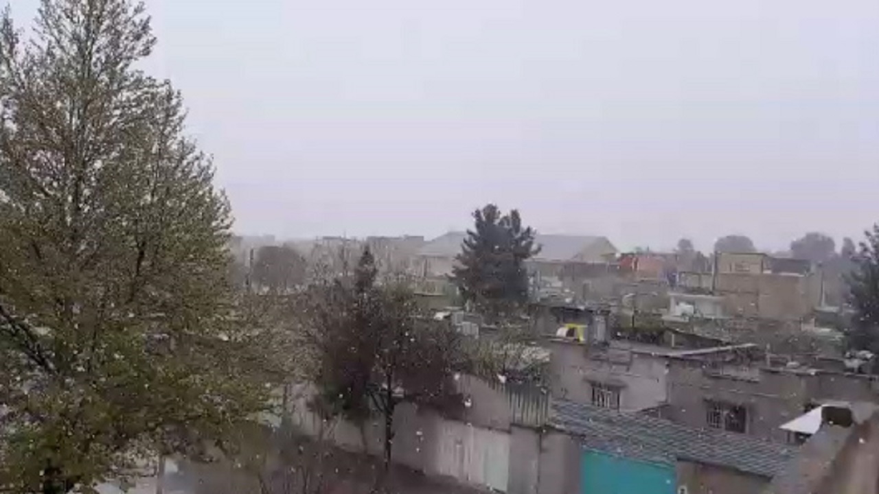بارش برف بهاری در نیشابور + فیلم