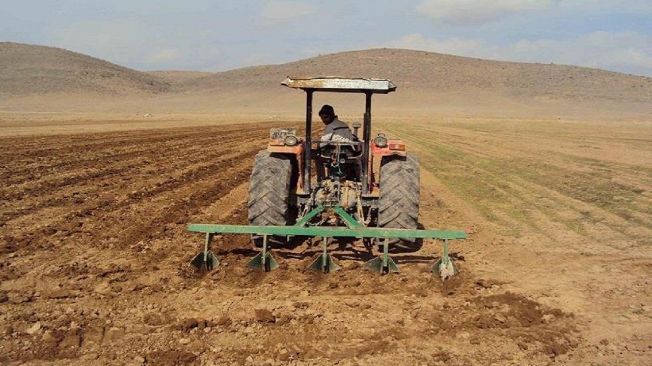 اختصاص ۳۸ هزار هکتار از اراضی کشاورزی به کشت گندم