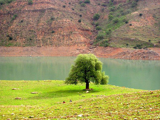 شیرینبهار کجاست؟ شیرینبهار کجاست؟
